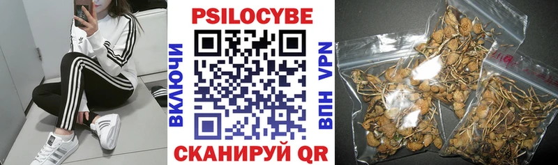 KRAKEN рабочий сайт  Щигры  Псилоцибиновые грибы мицелий 